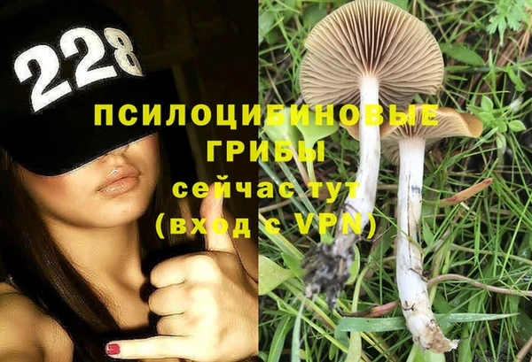 гашик Абаза