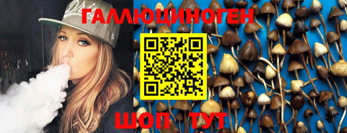 Галлюциногенные грибы MAGIC MUSHROOMS Чита
